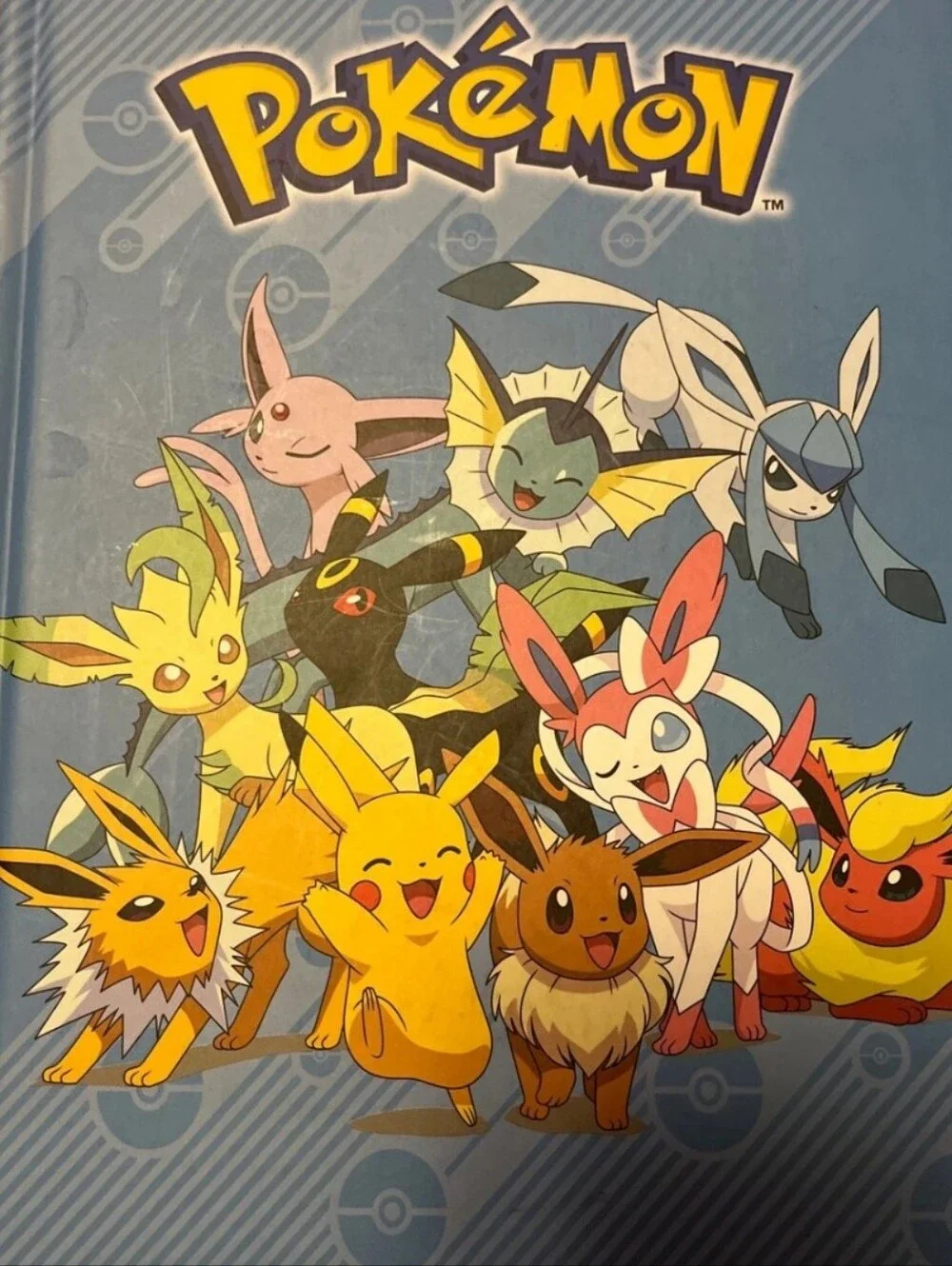 Pokemon Eeveelutions & Pikachu Hard Cover Notebook Silver Buffalo